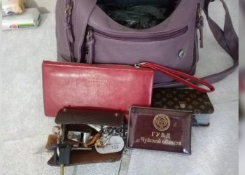 Чүйдө милиция кызматкеринин үйүнө ууру кирди