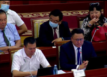 «Курут жеп, оозун боёп». Парламенттеги айымдын кылыгы талкууда (видео)