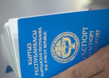 Кыргызстандан Түркияга эжесинин паспорту менен учууга аракет кылган аял кармалды