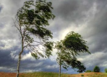 Шашылыш билдирүү! Бишкекте катуу шамал болот