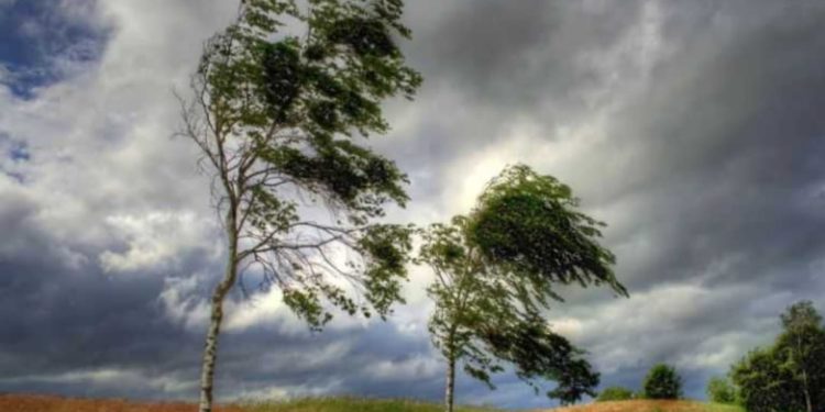 Шашылыш билдирүү! Бишкекте катуу шамал болот