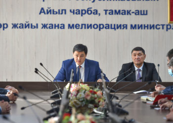 Айыл чарба министрине жана орун басарына эскертүү берилди