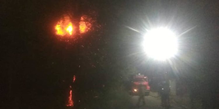 Ошто талга чагылган түшүп, өрт чыкты (сүрөт)