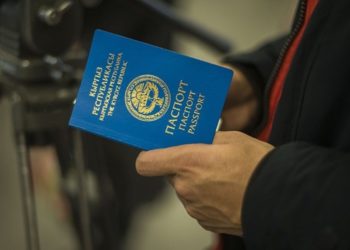 Жарандык алуу боюнча ортомчуларга даттануулар көп түшүп жатат