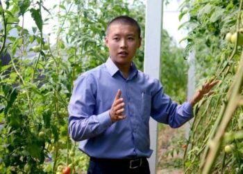 Тилек Токтогазиев: “Сугат суу уурдала берсе, күзүндө азык-түлүктүн баасы асманга чыгат”