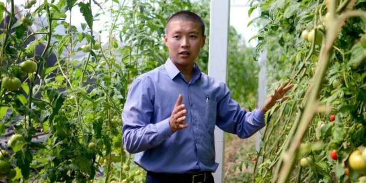 Тилек Токтогазиев: “Сугат суу уурдала берсе, күзүндө азык-түлүктүн баасы асманга чыгат”