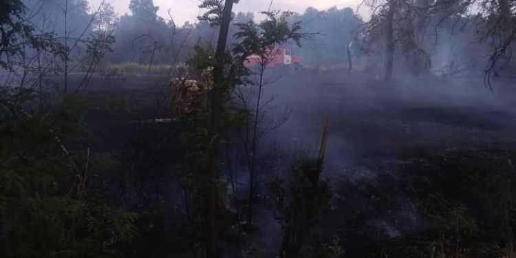 Ботаникалык бакта чыккан өрт толук өчүрүлдү