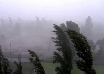 Бишкек шаарында жана Чүй өрөөнүндө катуу шамал күтүлөт