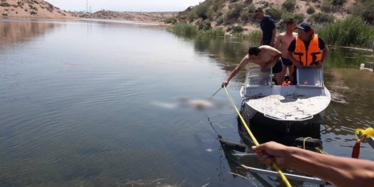 Тоңдогу көлмөдөн изделип жаткан 34 жаштагы кишинин жансыз денеси табылды (сүрөт)