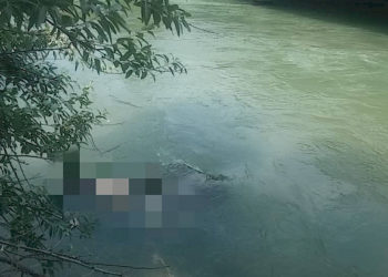 Чу дарыясынан эркек кишинин жансыз денеси табылды. Аты-жөнү такталууда