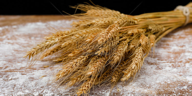 Быйыл өкмөт дыйкандардан 150 тонна дан азыктарын сатып алууну пландаган. Бирок…