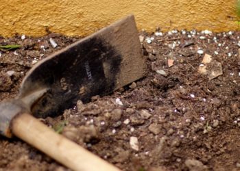 Ноокатта өз атасын өлтүрүүгө шектелип уулу кармалган. Соттун өкүмү