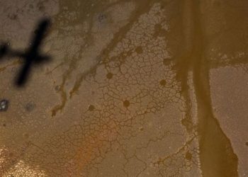 «Элдик кабарчы»: Петровка айылында бир айдан бери сугат суу жок (видео)