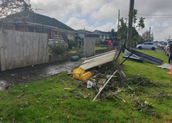 «Бак-дарактар кулап, электр зымдары үзүлгөн». Жаңы Зеландияда торнадо 1 адамдын өмүрүн алды (сүрөт)