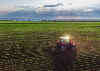 Жаздык эгинди себүү былтыркы жылга салыштырмалуу 1,3 пайызга аз