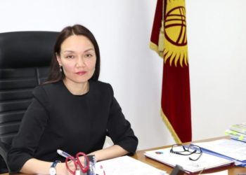 Министрлер кабинети: «Кылмыш иши ачылган Динара Молдошева кызматынан алынган жок»