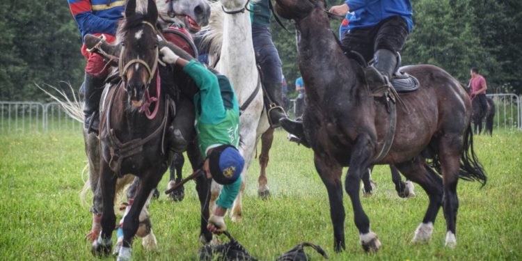 Орусияда көк бөрү боюнча эл аралык мелдеш өтүүдө (сүрөт)