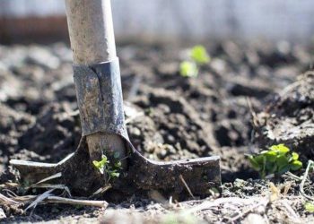 Чүйдө аялын кызганып, белине чейин көмүп салган 33 жаштагы кишиге сот өкүм чыгарды