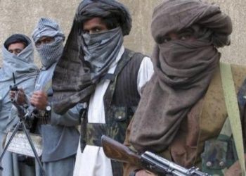 «Талибан» кыймылы Тажикстан менен чектеш райондорго келди