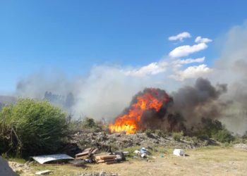 «Элдик кабарчы»: «Таластын Шанхай жаңы конушунда 1 сааттан бери токой өрттөнүп жатат» (видео, сүрөт)