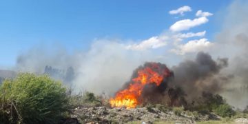 «Элдик кабарчы»: «Таластын Шанхай жаңы конушунда 1 сааттан бери токой өрттөнүп жатат» (видео, сүрөт)