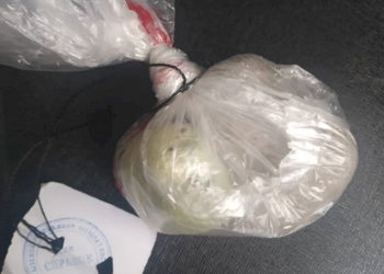 Новопокровка айылында унаанын ичинен баңгизат табылды