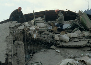 Тажикстандагы жер титирөө 5 адамдын өмүрүн алды