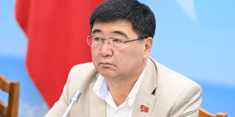 «Кыз-Бурак болуп калат». Депутат парламентте аялдардын квотасын кыскартууну сунуштады