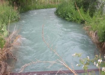 Сугат суу таңкыстыгы. Чүйдүн дыйкандары кайрадан митингге чыгышты (видео)