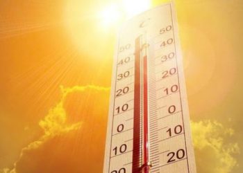 Кыргызстанда ишембиден тарта мээ кайнаткан ысык болот