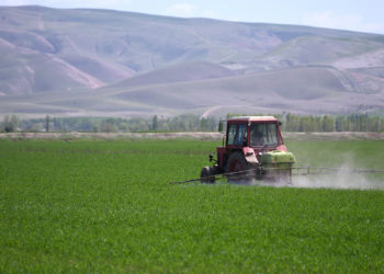 Импорттолгон бир катар тоют азыктары кошумча нарк салыгынан бошотулду