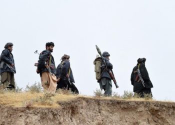 Талибдер Тажикстан менен чектешкен аймакка желегин илди