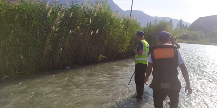 Жалал-Абадда дайынсыз болуп жаткан 85 жаштагы карыянын сөөгү камыштардын арасынан табылды