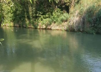 Ошто 17 жаштагы жигиттин жансыз денеси каналдан табылды