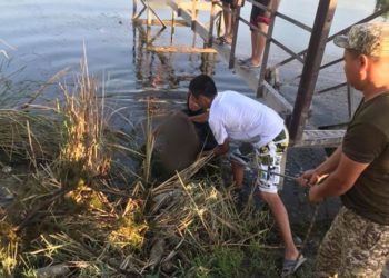 Чүйдө 12 жаштагы өспүрүм көлмөгө чөгүп кетти (сүрөт)