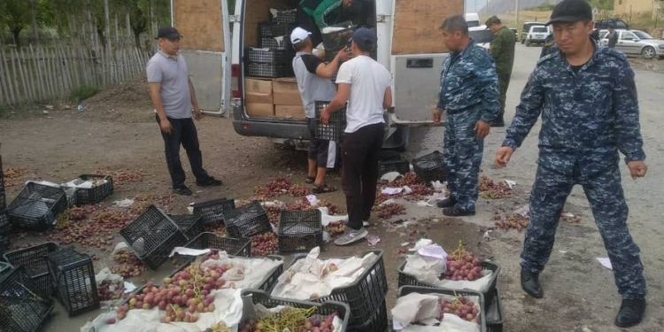 Тажикстандан Кыргызстанга 4 тонна жүзүмдү мыйзамсыз киргизгендер кармалды (видео)