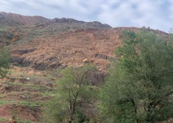 ӨКМ: «Нарын облусунда жер көчүү коркунучу бар» (сүрөт)