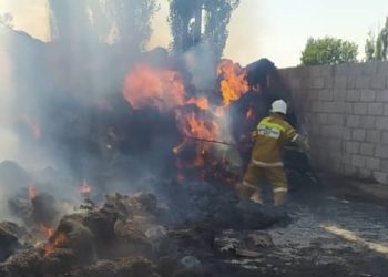 Чүйдө жаш баланын шоктугунан 750 түк чөп күйүп кетти (сүрөт)