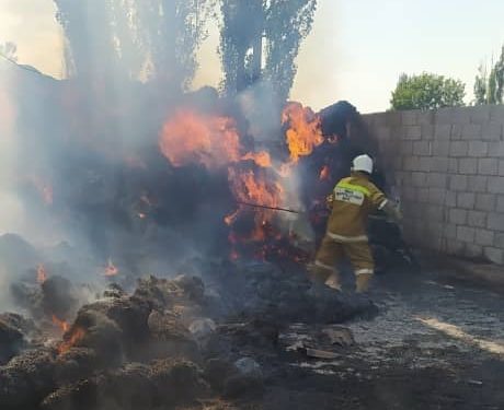 Чүйдө жаш баланын шоктугунан 750 түк чөп күйүп кетти (сүрөт)