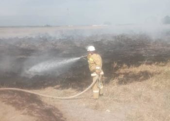 Ысык-Көлдө 2 гектар аянттагы кургак чөп менен камыш өрттөндү (сүрөт)