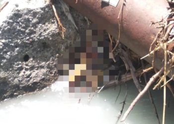 Ала-Арча суусунан жансыз дене табылды (сүрөт)