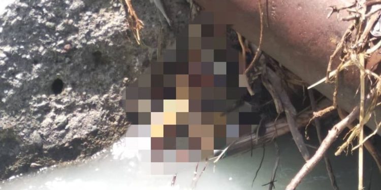 Ала-Арча суусунан жансыз дене табылды (сүрөт)