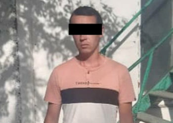 Бишкекте жөө адамды сүзүп, качып кеткен шектүү жаран кармалды (сүрөт)