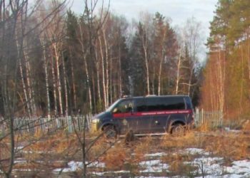 «Муунтуп өлтүрүп, күрмөсүн өрттөп ээритип, бетине чачкан». Орусияда өспүрүмдү өлтүргөн киши 11 жылга соттолду