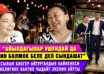 «Айтурган кээде аша чаап жиберет» дейт блогер келиндин кайненеси