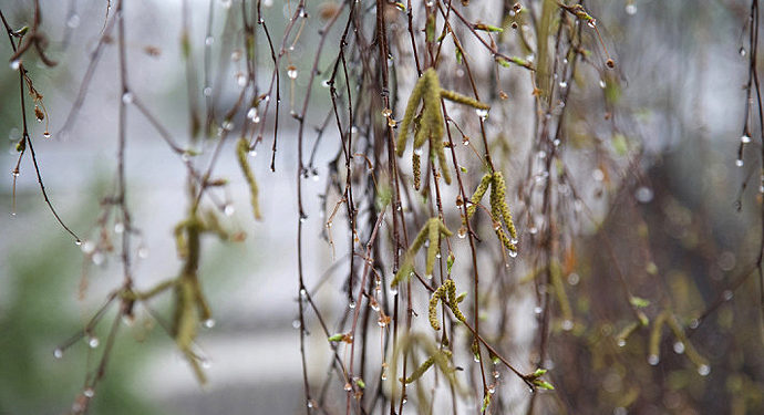 18-июлга карата өлкөдөгү аба ырайы