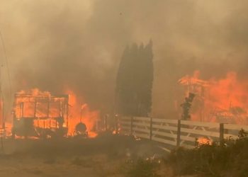 Канададагы ысык аба ырайы Литтон шаарынын 90 пайызын кыйратты (сүрөт)