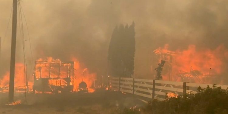 Канададагы ысык аба ырайы Литтон шаарынын 90 пайызын кыйратты (сүрөт)