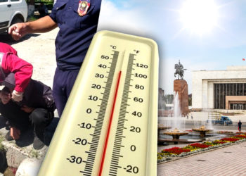 ЖАҢЫЛЫКТАР. Караколдо 31 жаштагы жаран күндүн ысыгынан эс-учун жоготуп кулап, мурдунан тынбай кан агып…