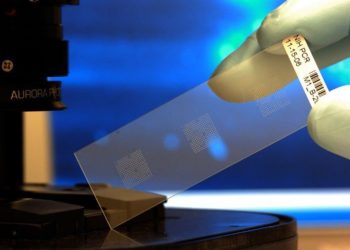 Орусияда коронавирус инфекциясын тестирлөө үчүн биочип жасалууда